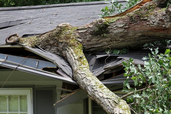Storm Remediation in San Clemente