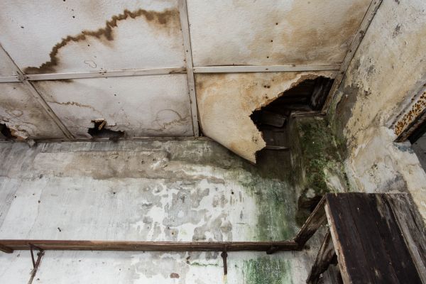 Water Damage Service in San Clemente
