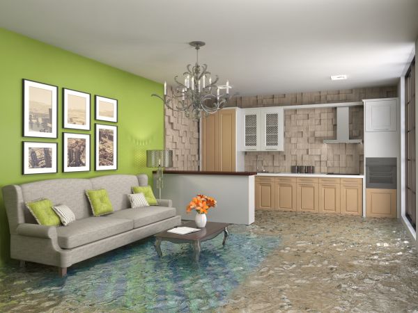 Wet Carpet Drying in San Clemente