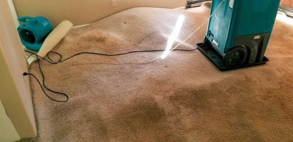 Flood Damage Cleanup in San Clemente