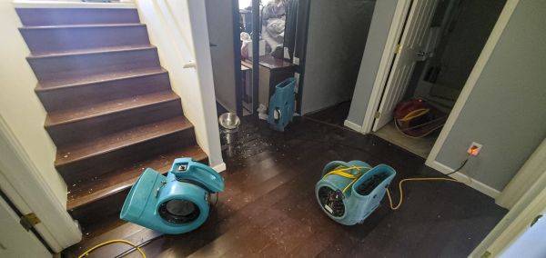 Water Damage Remediation in San Clemente