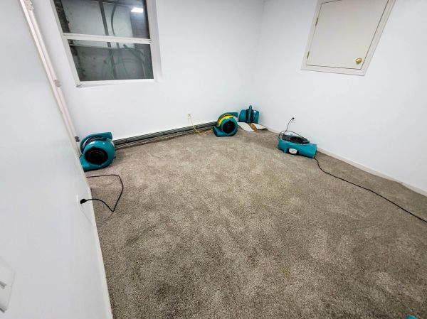 Flood Restoration Service in San Clemente