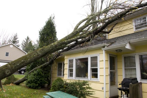 Hurricane Damage Repair in San Clemente